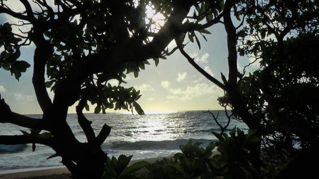 Kumu Kumu Beach, Kauai
